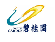 繁昌碧桂园地产